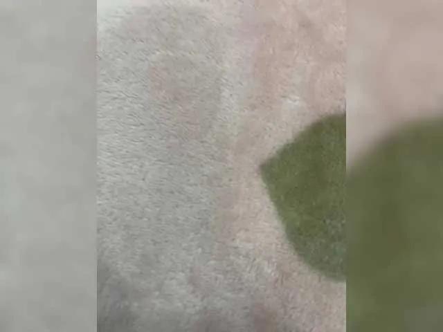 puppy19 — Freechat on BongaCams