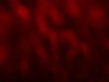 kloelamaravilla18 — OIL SHOW TONIGHT ... @GOAL 25 SKIRT OFF @GOAL 40 #latina #bigass #bigboobs #curvy #squirt - Multi-Goal :  reach goal 40 and find out #Lovense #Ohmibod #interactivetoy