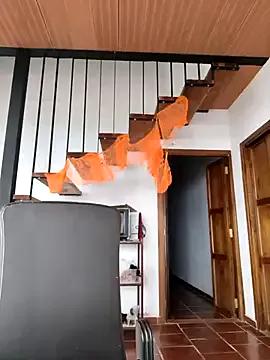 Hiroshi_Shen — Dance honey and take off your clothes